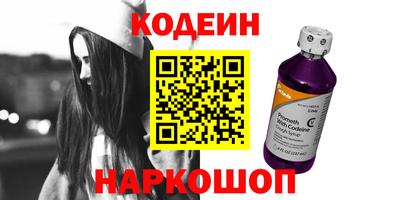 молекула духа Кингисепп